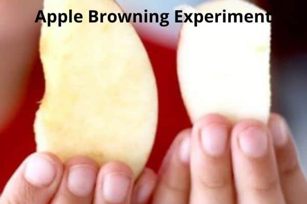 Apple Browning Experiment