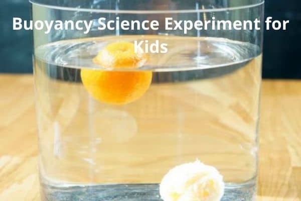 Buoyancy Science Experiment for Kids