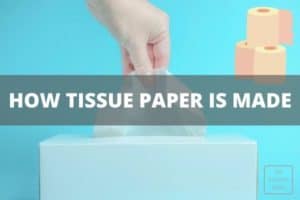 How Tissue Paper is Made - Step by Step Production process