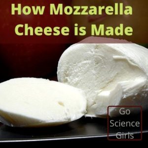 How Mozzarella Cheese is Made