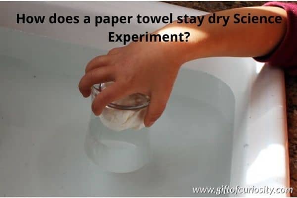 Paper towel stays dry Science Experiment
