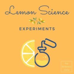 Science Experiments with Lemons (14+ Easy Experiments)