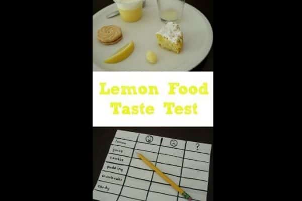 Lemon Foods Taste Test Science Investigation