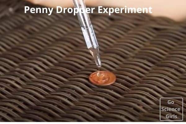 Penny Dropper Experiment - Surface tension experiment