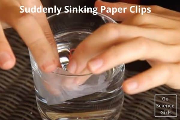 Suddenly Sinking Paper Clips - surface tension experiment