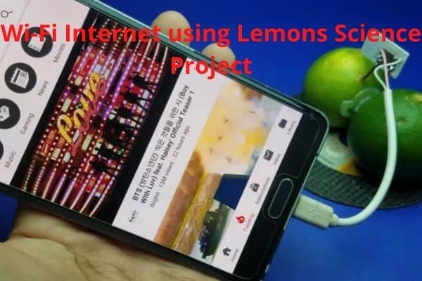 Wi-Fi Internet using Lemons Science Project