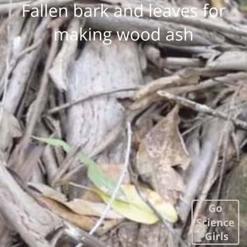 Fallen bark and leaves  for making wood ash