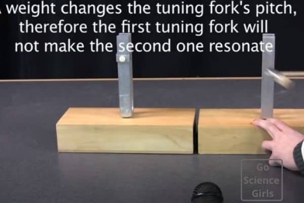 Weight changes the tuning fork's pitch