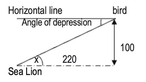 Find Angle of Depression - Problem with Solution