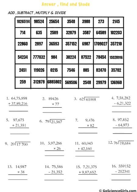Worksheets only on the Basics (Answer, Find, and Shade)_1