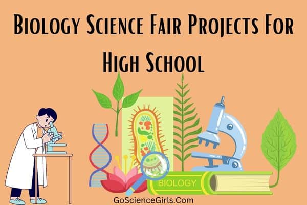 Biology Science Fair Projects For High School