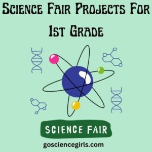 Science Fair Projects For 1st Grade